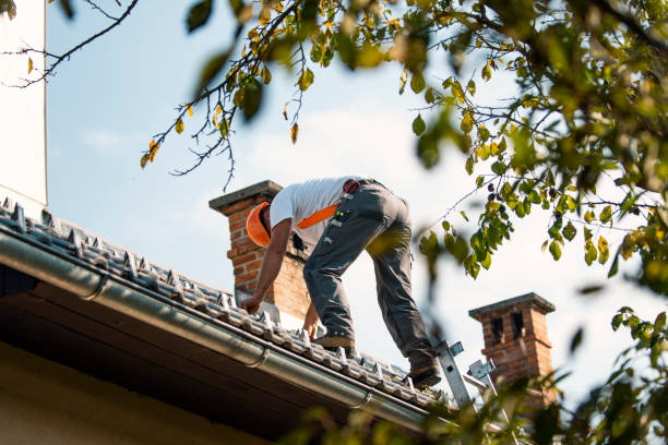Best Chimney Flashing Repair  in Moores Mill, AL