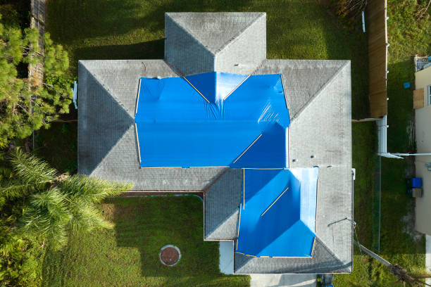 Best Roof Maintenance and Cleaning  in Moores Mill, AL